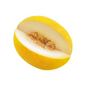 מלון