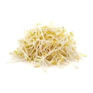 נבטים סיני יח מהדרין