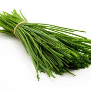 עירית יח מהדרין