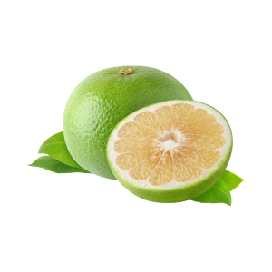 אשכולית לבנה