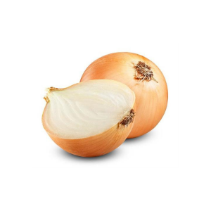 בצל רגיל