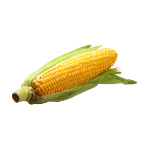 תירס
