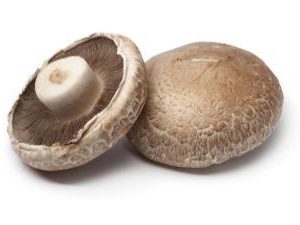 פטריות  פורטובלו למילוי