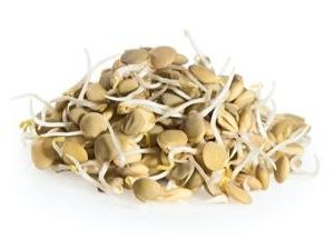 נבטוטים מהדרין