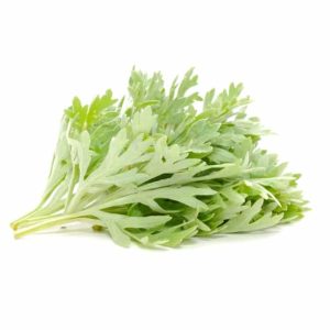 שיבה  מהדרין