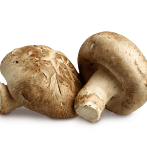 פטריות שיטאקי טרי