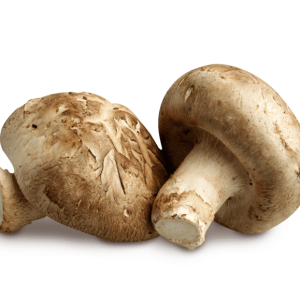 פטריות שיטאקי טרי