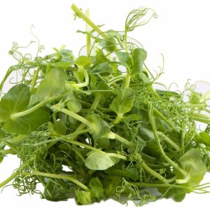 נבטי אפונה מהדרין