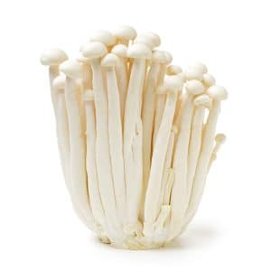 שינוקי טרי יח