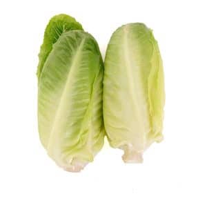 לבבות חסה נספק מהדרין