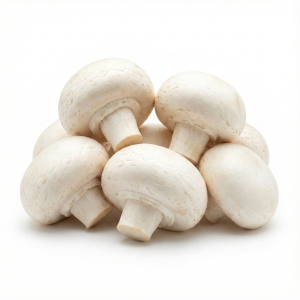 שמפיניון למילוי תפזורת