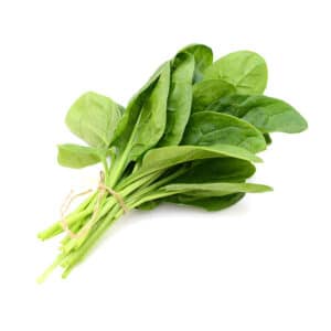 נספק תרד מהדרין