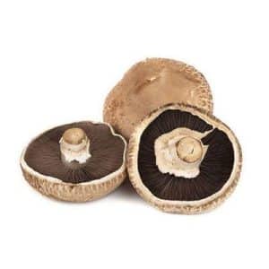 פורטבלה סטייק